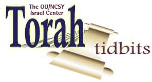 External link to Union or Orthodox Jewish Congregations web site